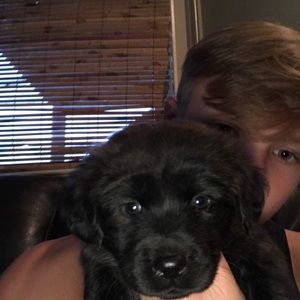 Meet your Posher, Blake